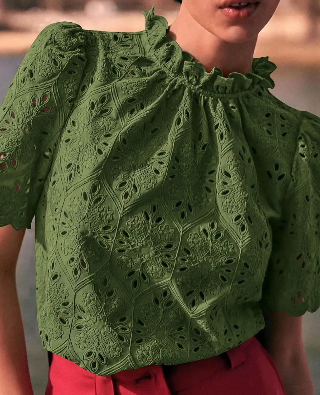 Short Sleeve Eyelet Embroidered Dressy Casual Blouse