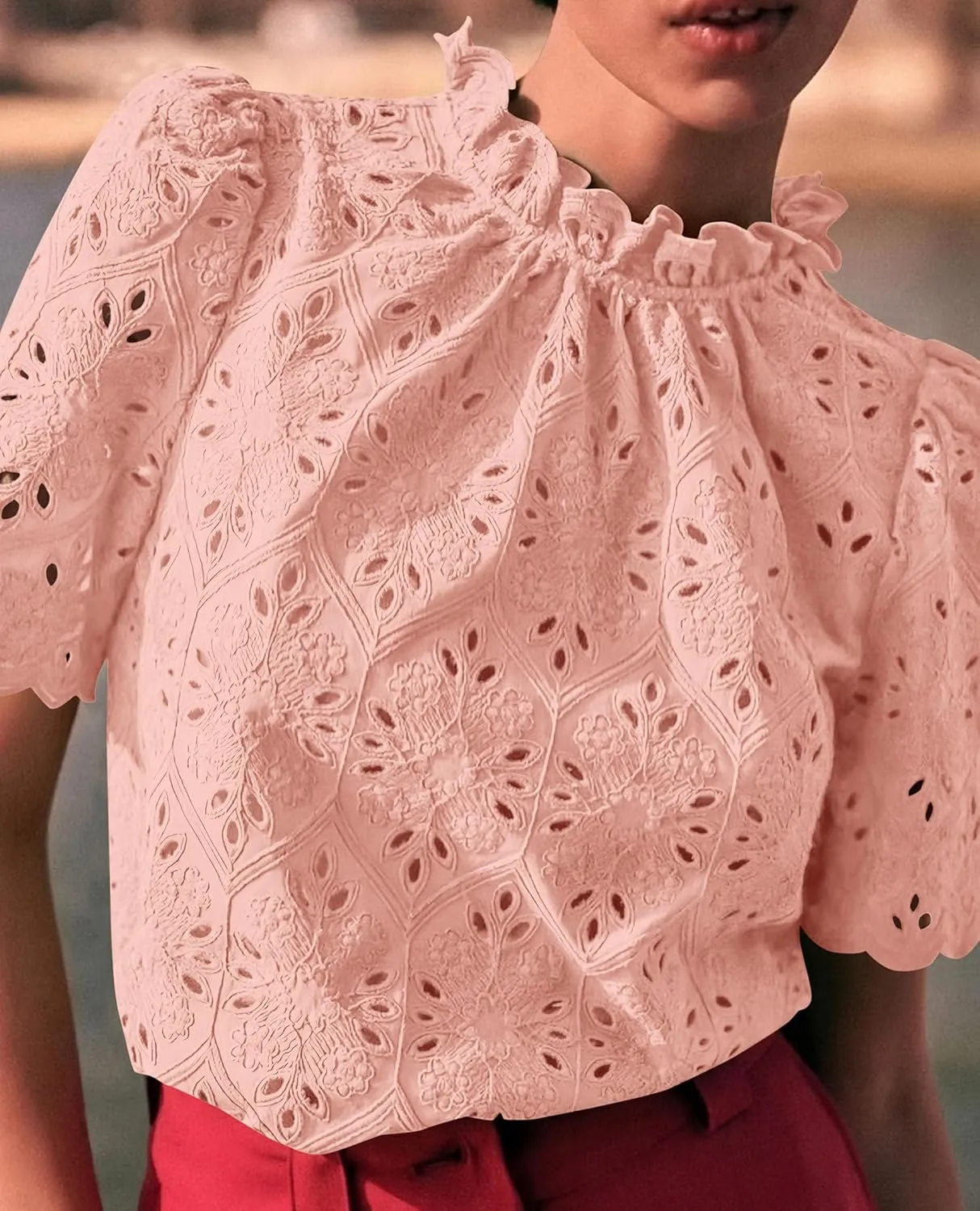 Short Sleeve Eyelet Embroidered Dressy Casual Blouse
