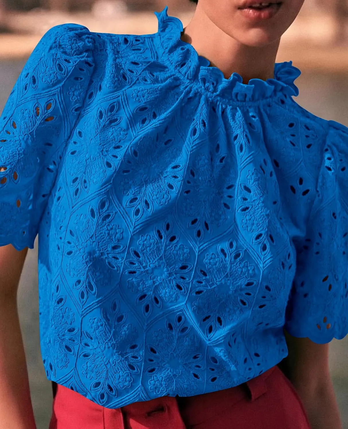Short Sleeve Eyelet Embroidered Dressy Casual Blouse