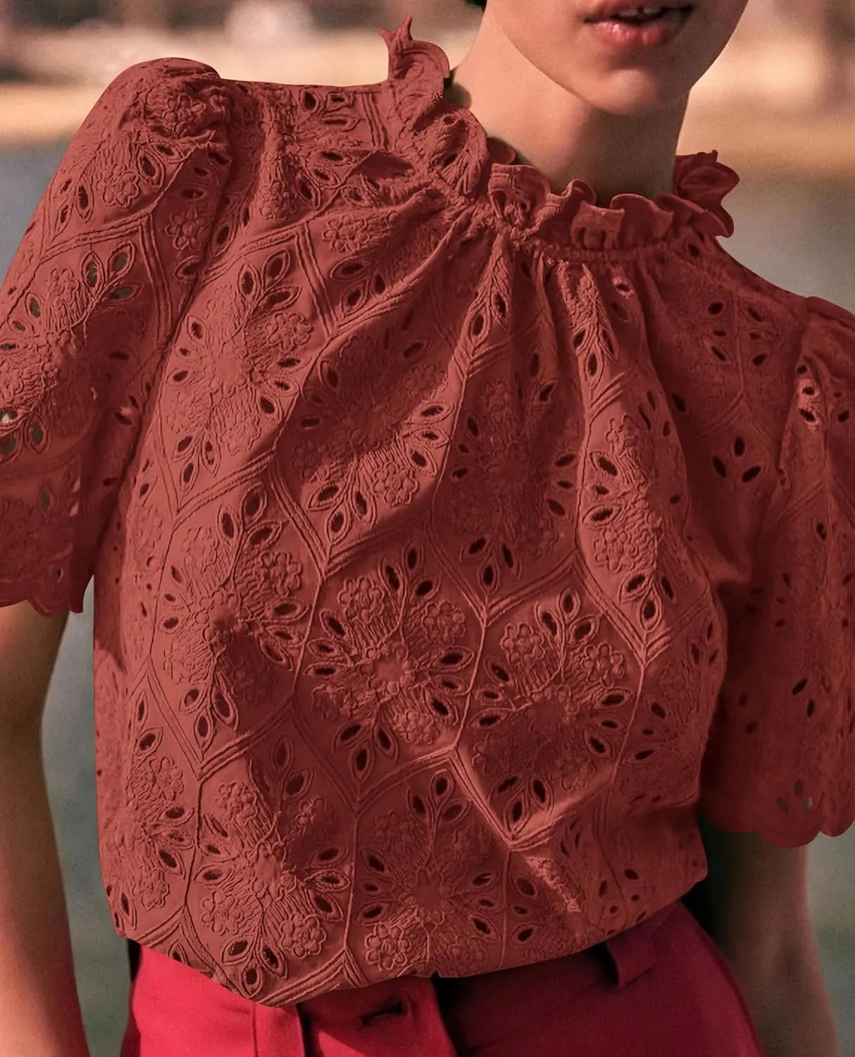 Short Sleeve Eyelet Embroidered Dressy Casual Blouse