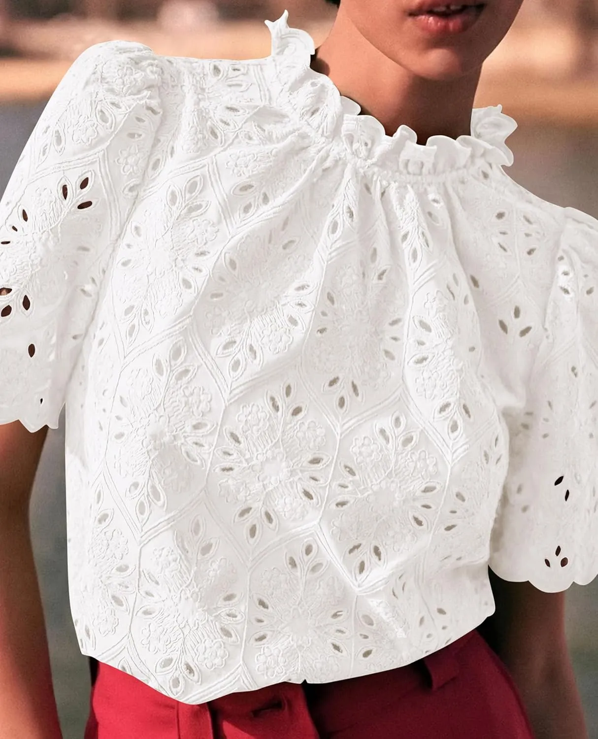 Short Sleeve Eyelet Embroidered Dressy Casual Blouse