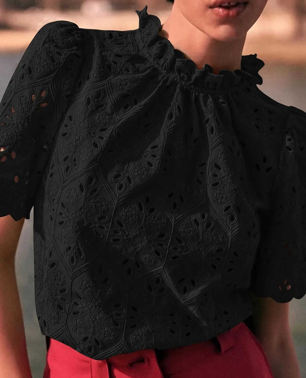 Short Sleeve Eyelet Embroidered Dressy Casual Blouse
