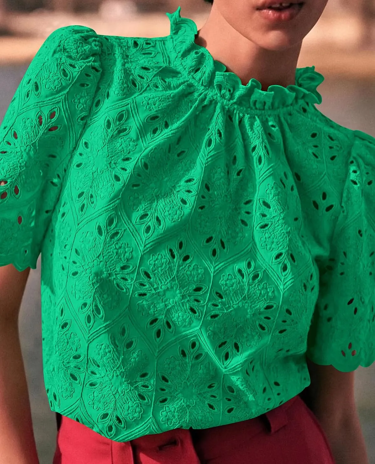Short Sleeve Eyelet Embroidered Dressy Casual Blouse