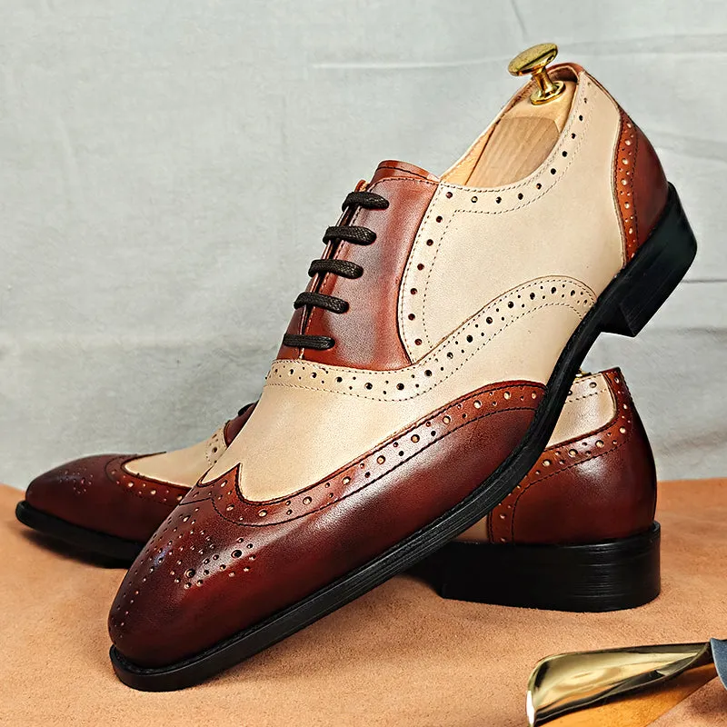 Veltra Couture: The Aristox Collection