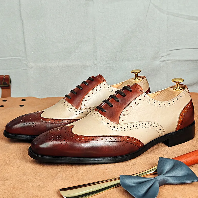 Veltra Couture: The Aristox Collection