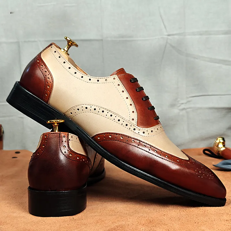 Veltra Couture: The Aristox Collection